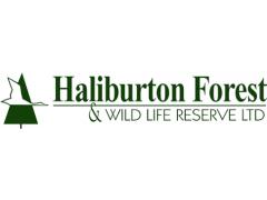 Haliburton Forest Group